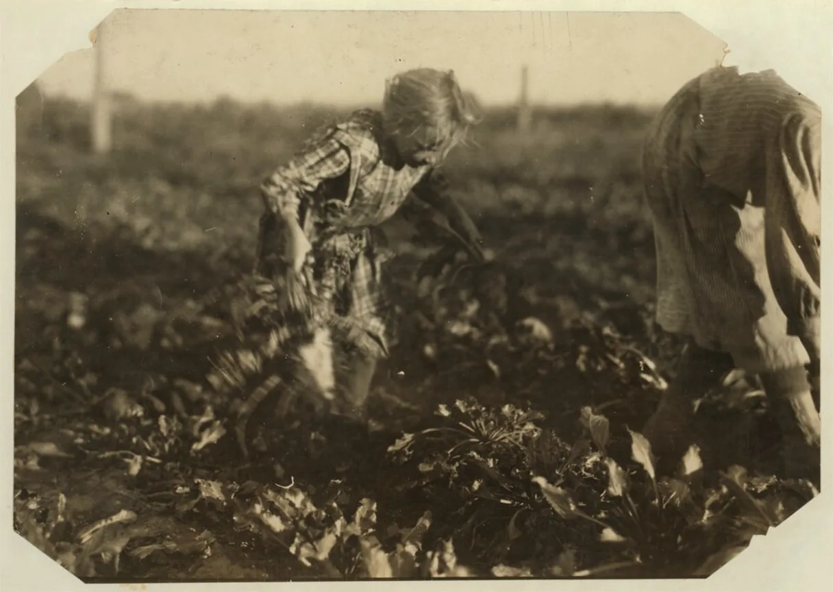 Two girls working in a beet field - a flat black and white print turned into a clear color photograph